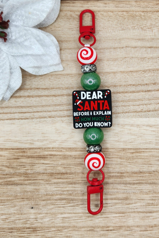 Kindle/Tablet Strap-Dear Santa Before I Explain How Much Do You Know?