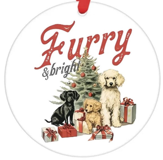 Acrylic Ornament-Furry & Bright SF